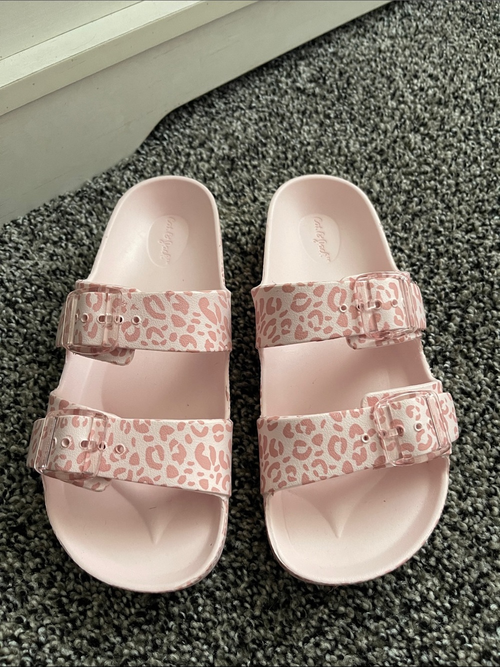 Cat & Jack Slides